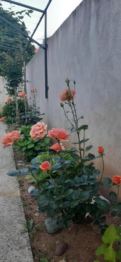 Guest House Vanja Mostar Exterior photo